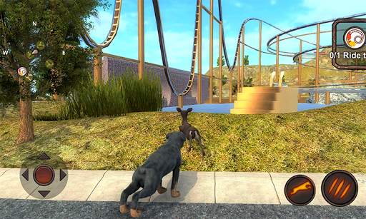 Simulator Anjing Rottweiler screenshot 5