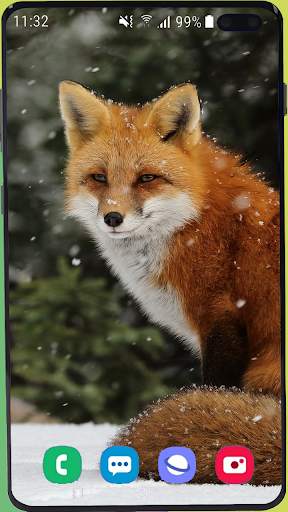 Fox Wallpaper Best HD screenshot 8