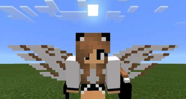 Wings mod screenshot 1