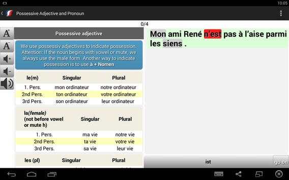 French Grammar learning screenshot 5