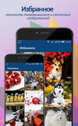 Обои и картинки от Nicefon. 20 screenshot 6