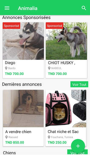 Animalia screenshot 2