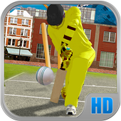 Real Street Cricket Cup 2017 icon