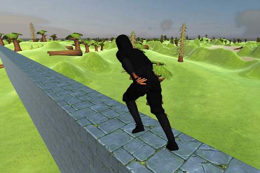 Ninja Run 3D screenshot 3