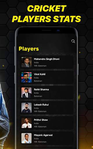 Cricket Match Scores screenshot 4
