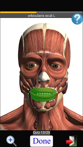 Anatomy Quiz скриншот 2