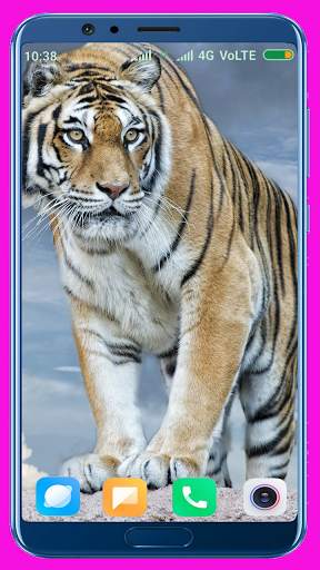Tiger Wallpaper Best 4K screenshot 16