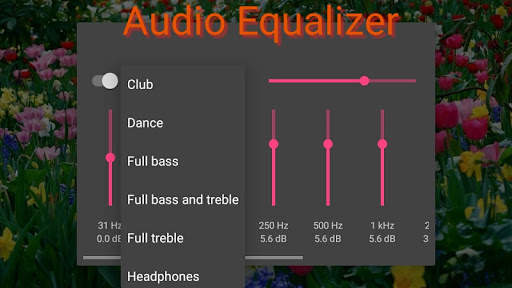 BSK Media Player screenshot 3