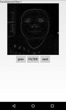 Camera Filters Demo screenshot 3