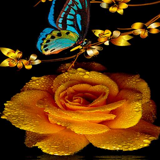 Golden Rose Live Wallpaper 3