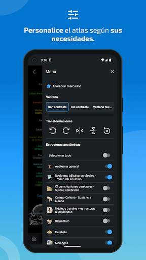 e-Anatomy screenshot 6