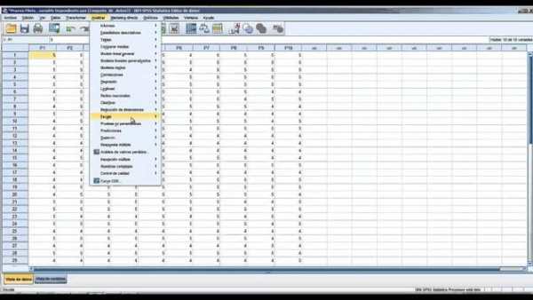SPSS 22 ADVANCED screenshot 2