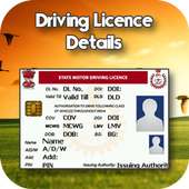 India Driving Licence Details logo