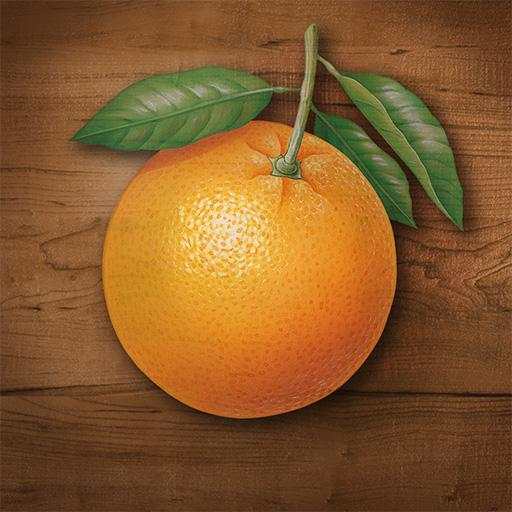 My Port Orange 13.9.0