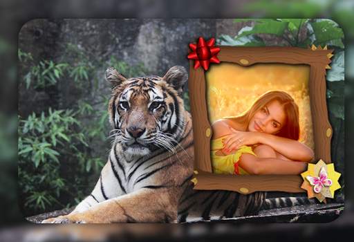 Tiger Photo Frames screenshot 5
