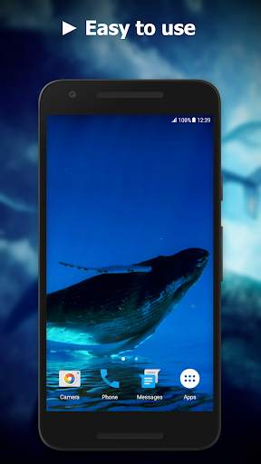 Blue Whale Video Live Wallpaper screenshot 3