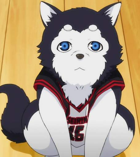 Kuroko Basket Ball Wallpaper 4K screenshot 10