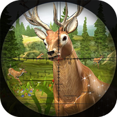 Deer Shooting Game : Animal Hunting Sniper Shooter icon