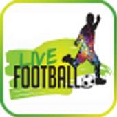 ONE GOOL
