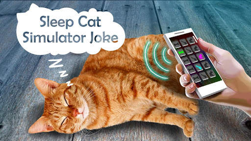 Tidur Cat Simulator Joke screenshot 3