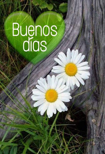 Buenos Días Flores Fotos Feliz Día De San Valentín screenshot 1