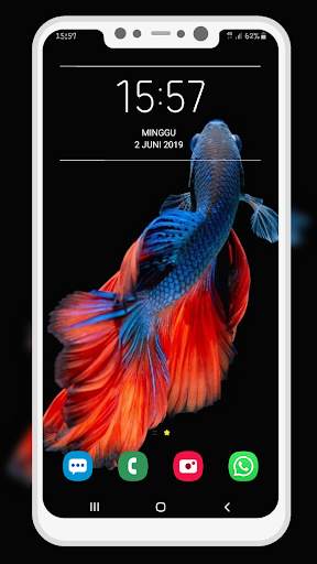 Betta Fish Wallpaper screenshot 10