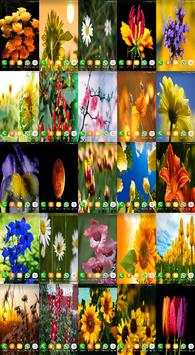 J2 Wallpapers HD 7 تصوير الشاشة