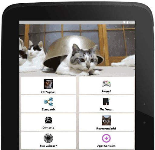 Gifs de Gatos Chistosos screenshot 6