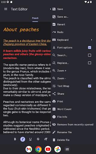 Text Editor screenshot 9