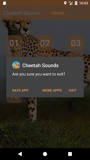 Cheetah (Animal) Sounds screenshot 4
