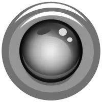 IP Webcam
