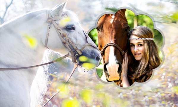 Horse Photo Frames screenshot 9