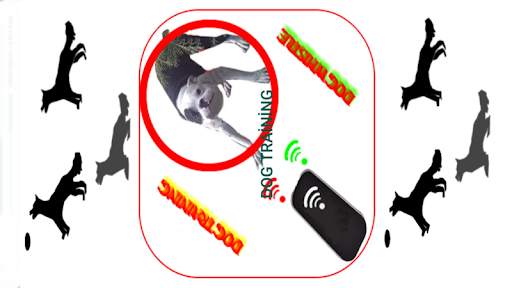 Dog training-dog whistle screenshot 3