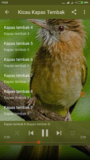 Suara Burung Kapas Tembak Gacor screenshot 3