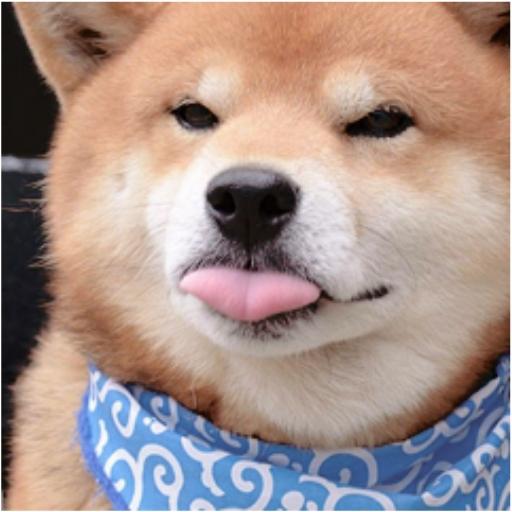 Funny Animal Sounds -By Rio icon