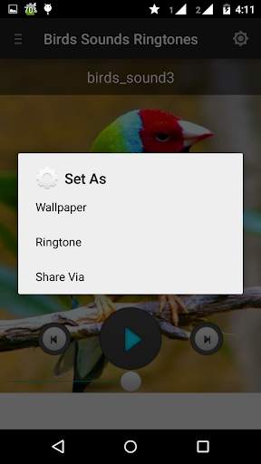 Birds sounds ringtones best screenshot 6