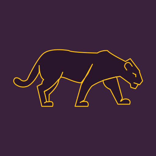 VPN Panther: Express &amp; Secure icon