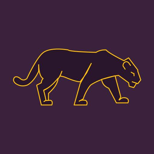 VPN Panther: Express & Secure 2.5.9