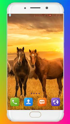 Horse Wallpaper HD screenshot 16