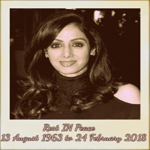 Sridevi The Legend 1.1