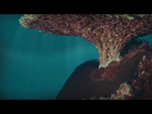 Watch Now! screenshot 9