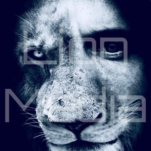 Lion Media App 1.3
