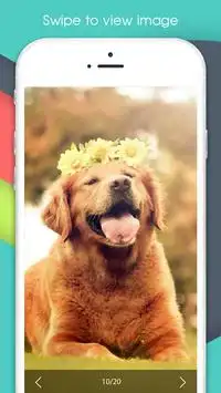 Photo Download screenshot 6