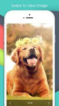 Photo Download screenshot 6
