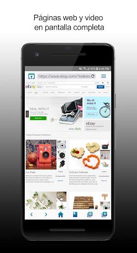 Web Browser screenshot 2