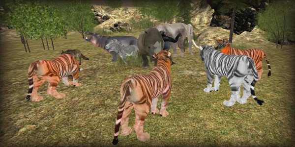 Angry Tiger Simulator 2016 screenshot 1