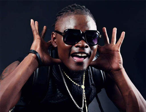 Pallaso Music App screenshot 3