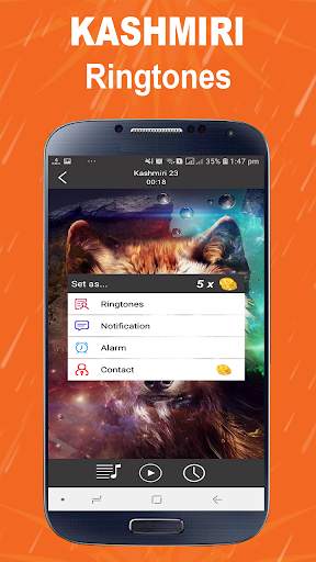 Kashmiri Ringtones Free Offline screenshot 3