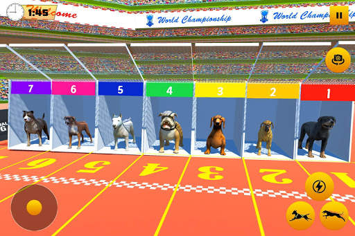Dog Race Game: Dog Racing 3D screenshot 9