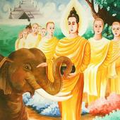 Daily Zen icon
